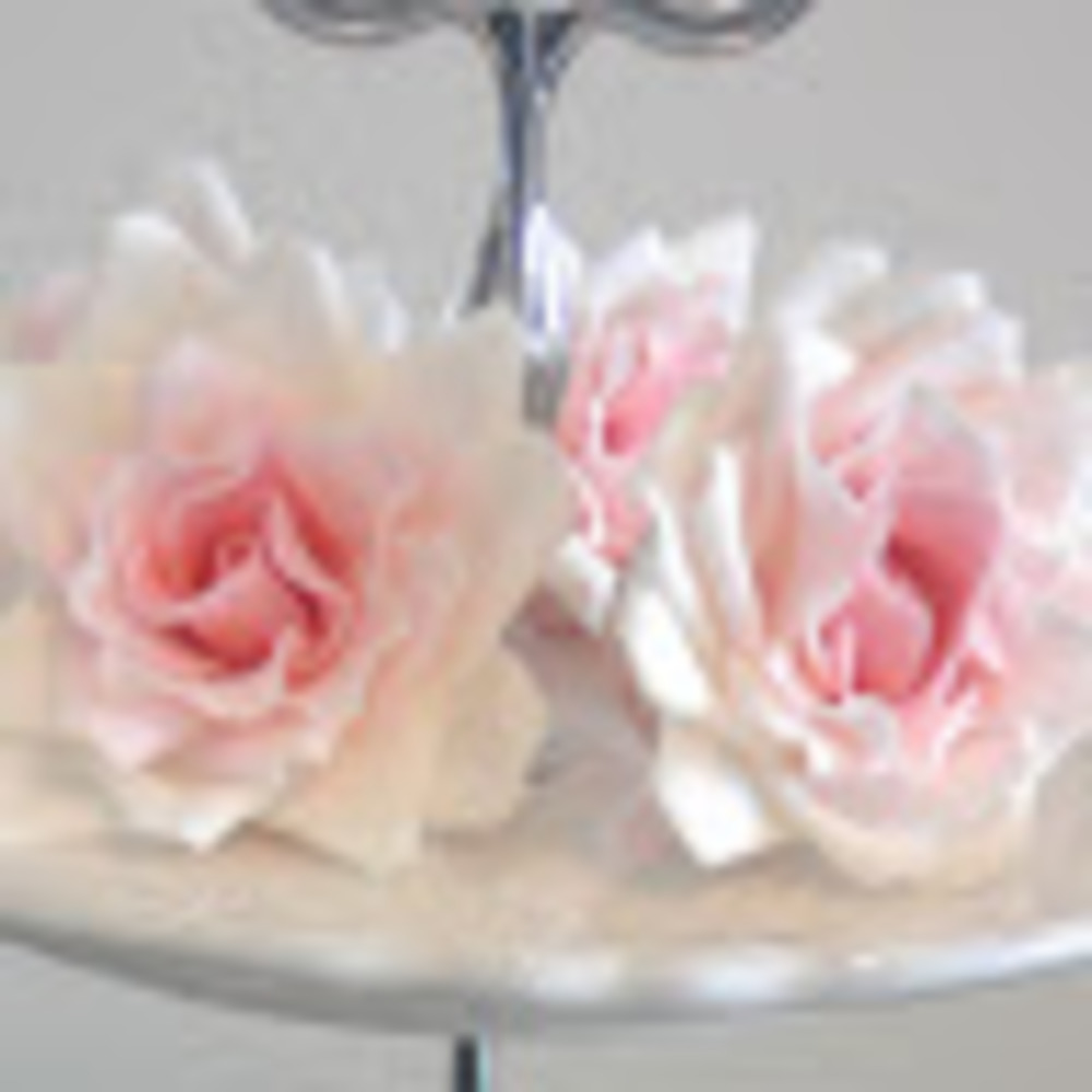 Meet your Posher, Breezy